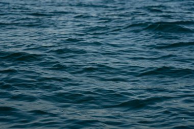 arka plan deniz şeklinde, güzel doku arkaplanı