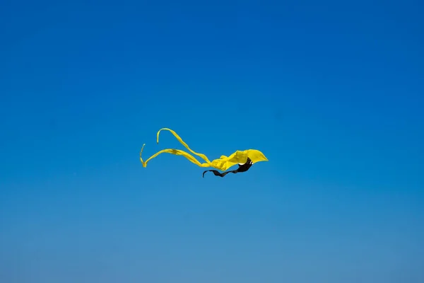 Batumi Georgia Června 2021 Kite Show — Stock fotografie