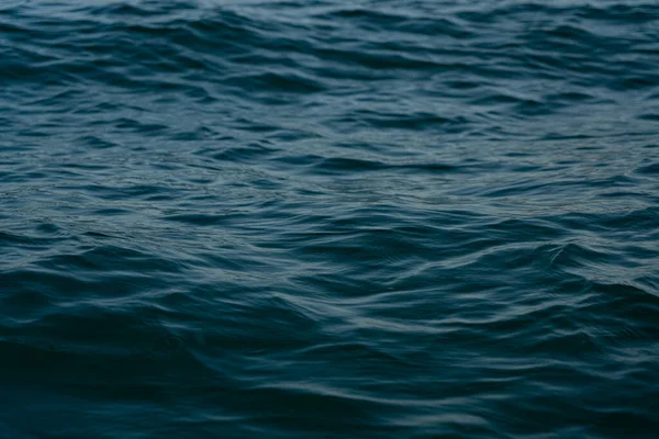 arka plan deniz şeklinde, güzel doku arkaplanı