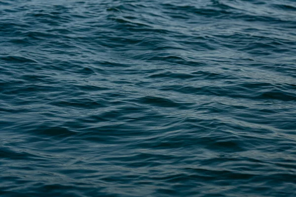 arka plan deniz şeklinde, güzel doku arkaplanı