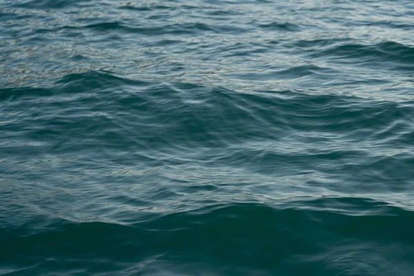 arka plan deniz şeklinde, güzel doku arkaplanı