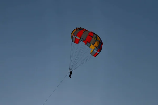 Batumi Georgia June 2021 Parachutist Sky — Stock Photo, Image