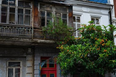 Mushmala grows on the street