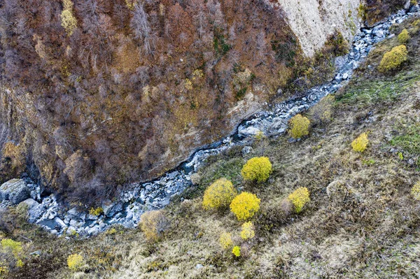 Dağlardaki Sonbahar Ormanı Dan Görünüyor — Stok fotoğraf