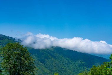 Gomis Mta, Guria bölgesi, Georgia