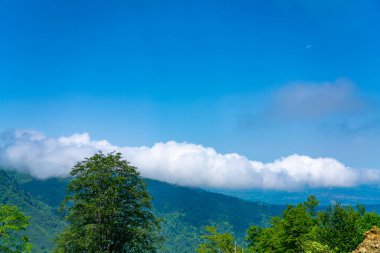Gomis Mta, Guria bölgesi, Georgia