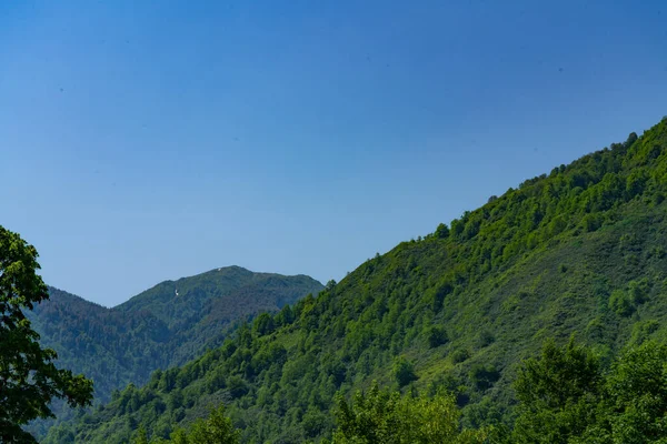 Nature Géorgie Région Guria Gomis Mta — Photo