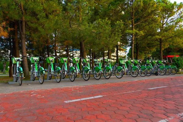 Batumi Georgien Juni 2021 Fahrradverleih Auf Dem Boulevard — Stockfoto