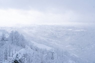 Karlı bir ormanın en üst manzarası