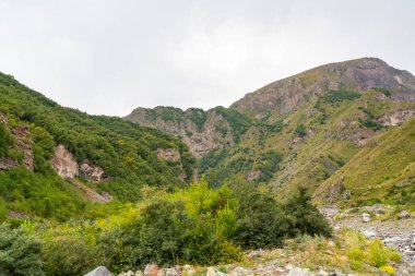 Dağların ve gökyüzünün arka planında kaynayan bir nehir