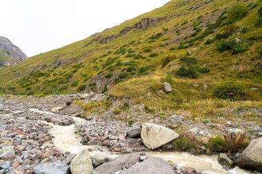Taşların arasında çamurlu bir dağ nehri akıyor.