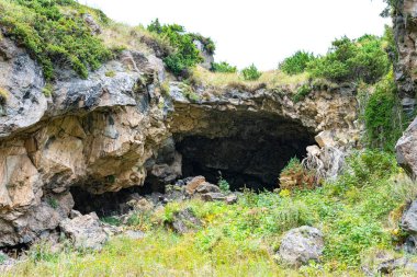 Yeşil çalıların arasında gri kayalar