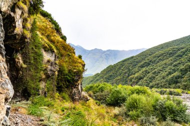 Çimlerden yeşil dağın manzarası