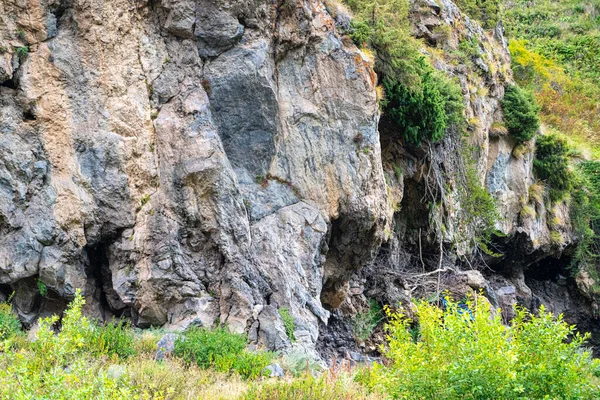 Una Cueva Las Montañas Entre Vegetación — Foto de Stock