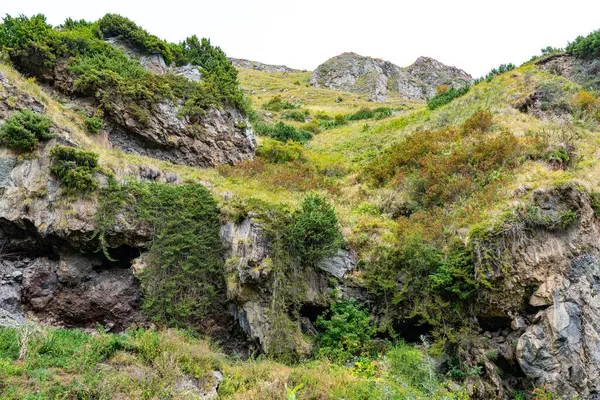 Серые Скалы Среди Зеленых Кустов — стоковое фото