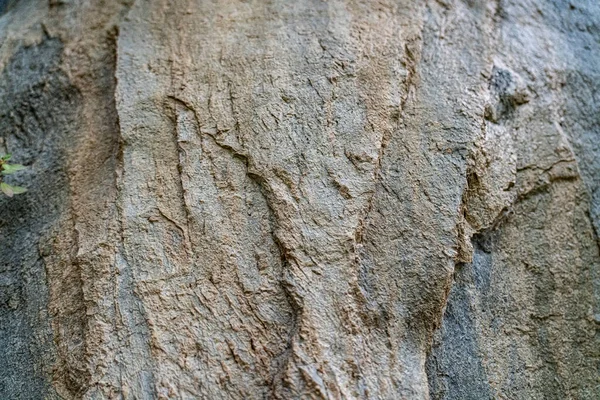 Серые Камни Виде Абстрактного Фона — стоковое фото