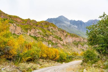 Gri dağlar ve sonbahar ormanı