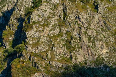 Mavi gökyüzüne karşı yeşil çimenli dağlar