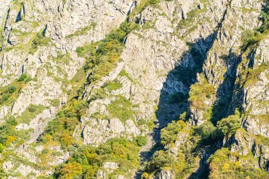 Çimenli güzel uçurumlar ve gökyüzüne karşı ağaçlar