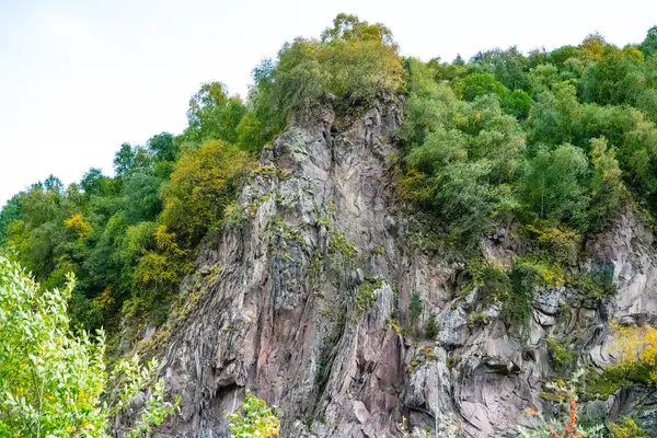 灰色の山と秋の森 — ストック写真