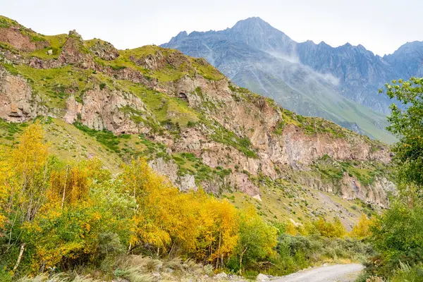 Grå Berg Och Höstskog — Stockfoto