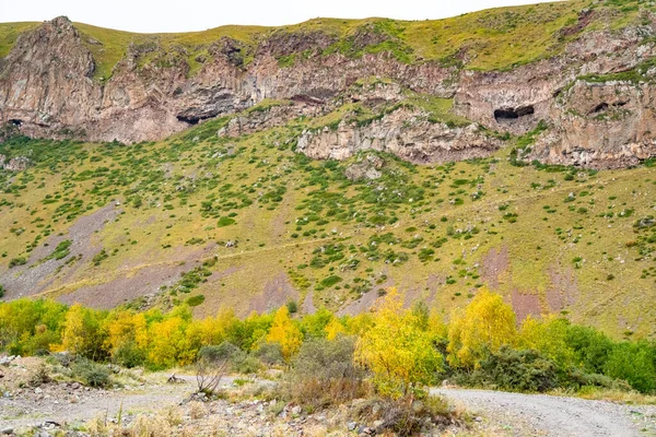 Montagne Avec Herbe Verte Jaune — Photo