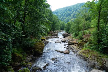 Mtirala Ulusal Parkı 'ndaki Dağ Nehri, Adjara, Georgia