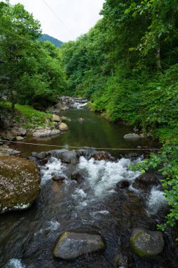 Mtirala Ulusal Parkı 'ndaki Dağ Nehri, Adjara, Georgia