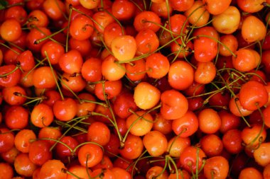 Olgun kiraz şeklinde arkaplan