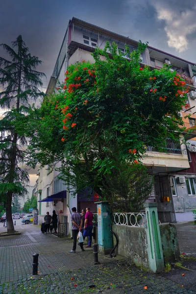 Batumi Georgië Juni 2021 Huizen Aan Parnavaza Straat — Stockfoto