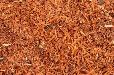 Kahverengi ahşap talaş şeklinde bir arka plan