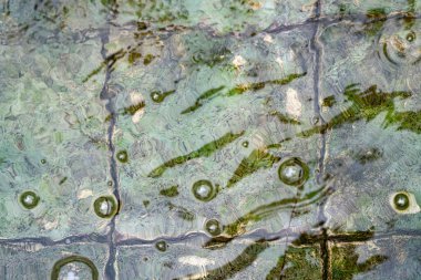 Soyut bir arkaplan olarak su birikintisindeki kabarcıklar