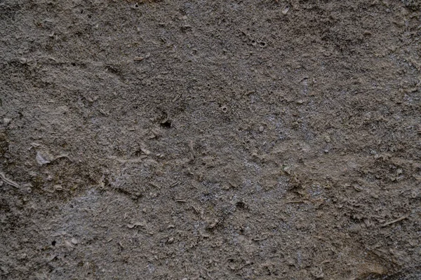 Серый Гипс Абстрактный Фон — стоковое фото