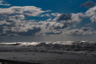 Rıhtımda bisiklet kiralama.