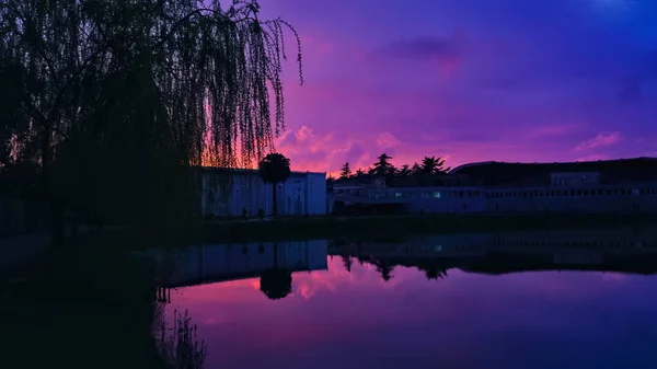 Blue Pink Sunset Lake — Stock Photo, Image