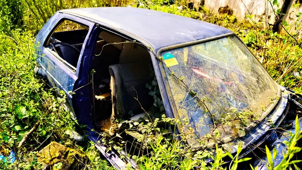 Sedan Car Frame Tall Grass — Fotografia de Stock