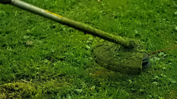 공원에 잔디깎는 기계를 가지고 잔디를 — 스톡 사진