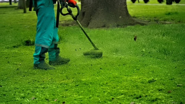 Hombre Con Una Cortadora Césped Parque Limpia Hierba —  Fotos de Stock