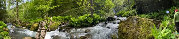 Río Montaña Bosque Gran Panorama — Foto de Stock