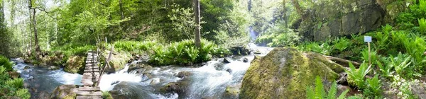 Hegyi Folyó Erdőben Nagy Panoráma — Stock Fotó