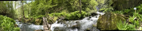 Gebirgsfluss Wald Großes Panorama — Stockfoto