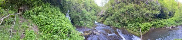 Hegyi Folyó Erdőben Nagy Panoráma — Stock Fotó