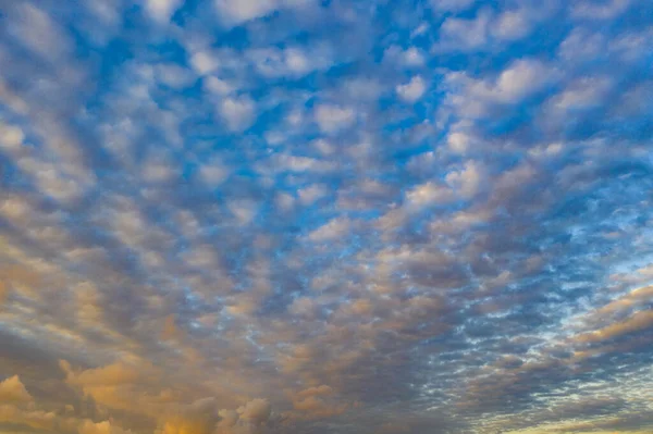 Güzel Sirrus Mavi Pembe Bulutlar — Stok fotoğraf