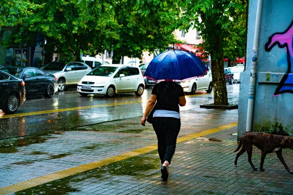 Batumi Georgia Julio 2021 Mujer Con Paraguas Bajo Lluvia — Foto de Stock