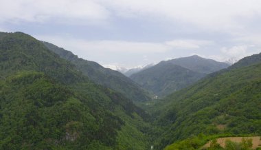 Machakhela Gorge, bir İHA 'dan, Adjara, Georgia