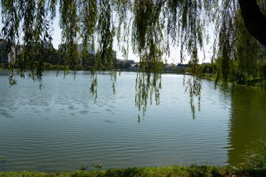 Parktaki güzel göl