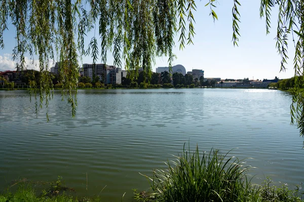 Prachtig Meer Het Park — Stockfoto