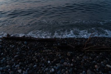 Karadeniz kıyısındaki çöpler