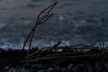 Karadeniz kıyısındaki çöpler