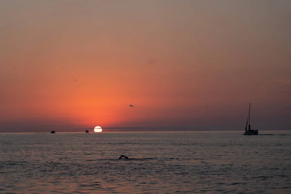 Sailboat Sea Background Sunset — Stock Photo, Image